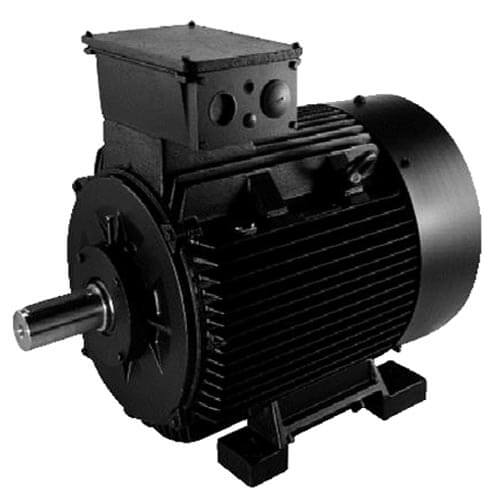 GRUNDFOS 84Z04001 GENERAL PURPOSE MOTORS