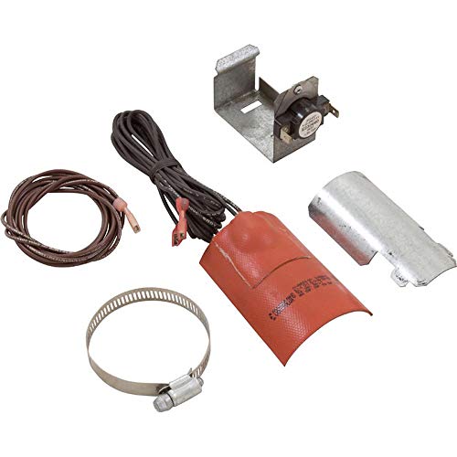 PENTAIR R2010100 GAS VALVES