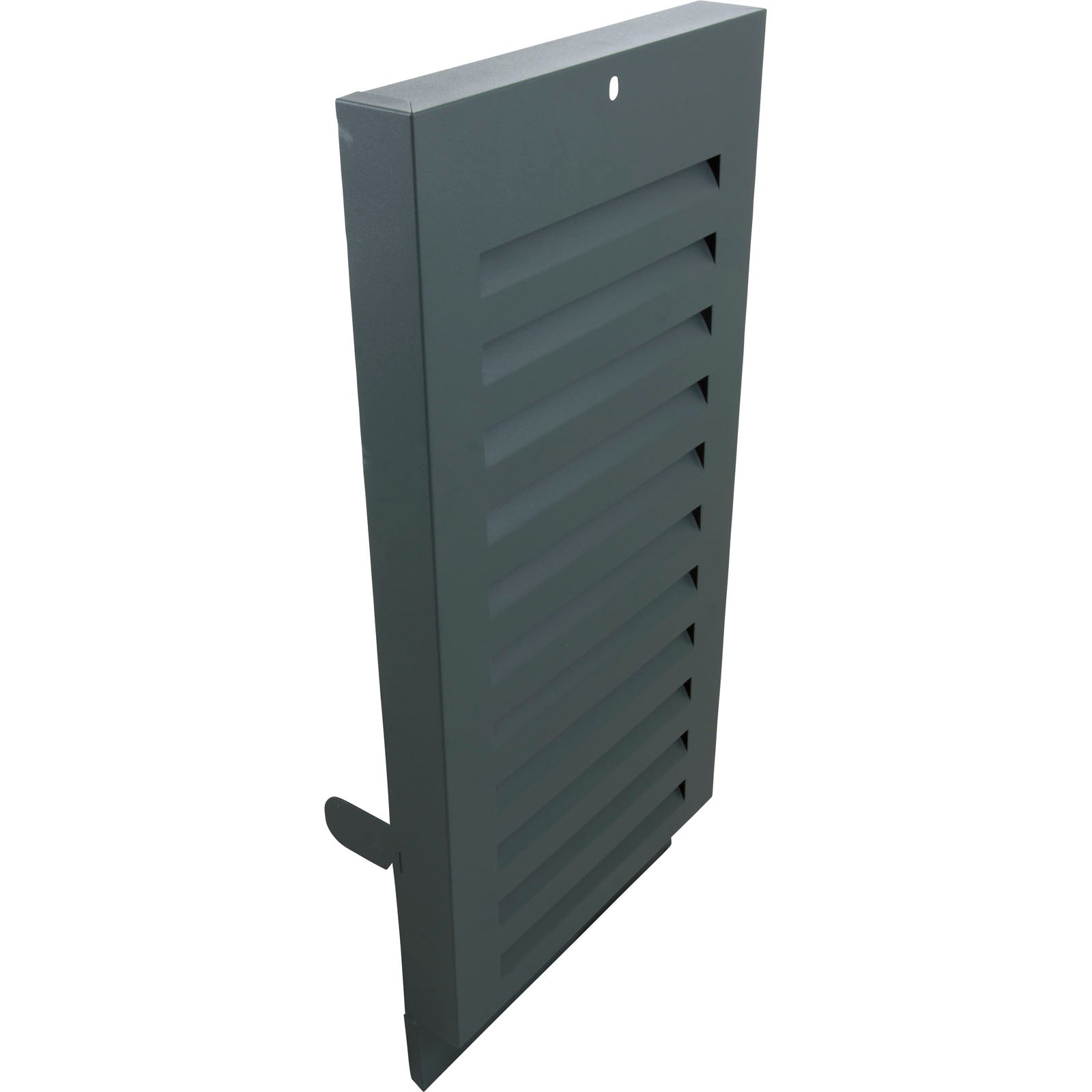 RAYPAK Raypak 005315F Door Assembly R185