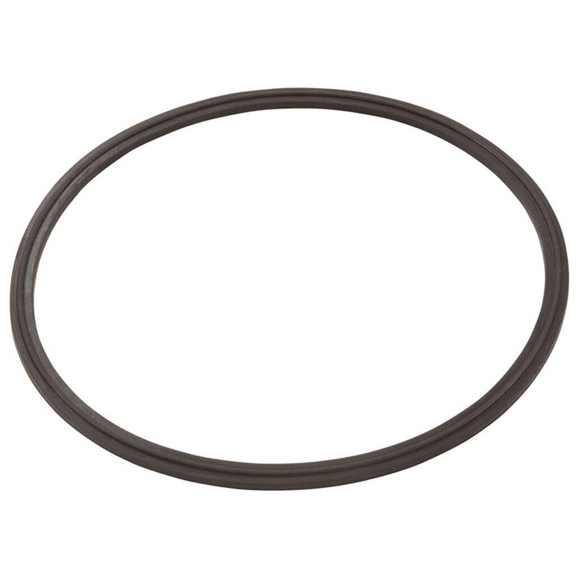 ZODIAC Zodiac R0623300 Leaf Catcher Seal | Durable Replacement Seal