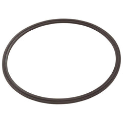 ZODIAC Zodiac R0623300 Leaf Catcher Seal | Durable Replacement Seal