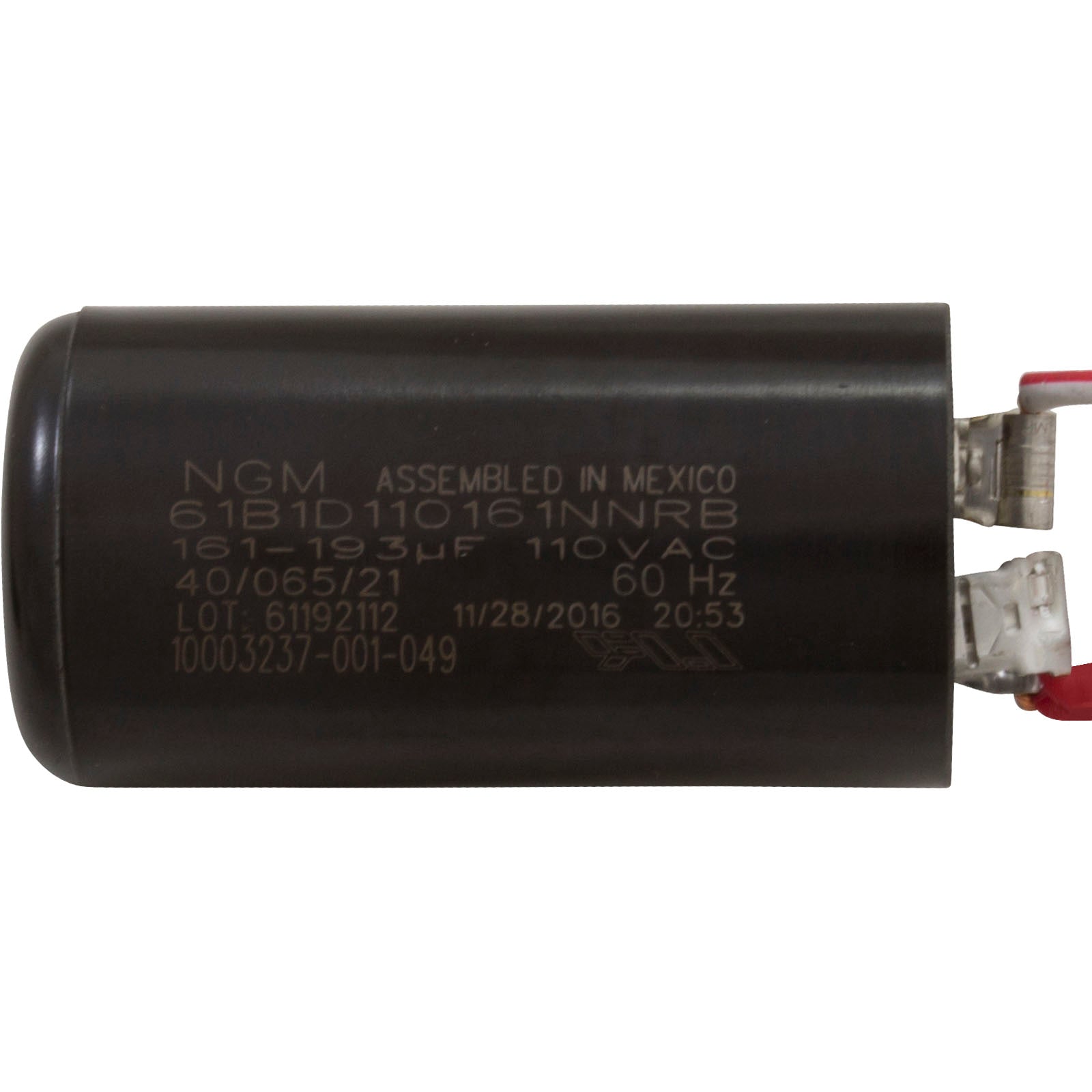 CENTURY MOTORS Century B2235 Pool Pump Motor 4 HP 2-Speed 230V 56Y Frame
