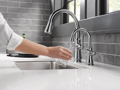 DELTA FAUCET Delta Faucet 1920-AR-DST Traditional Beverage Faucet Arctic Stainless