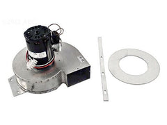 HAYWARD Hayward IDXLBWR1930 Combustion Blower for H-Series NOx Heater 240V
