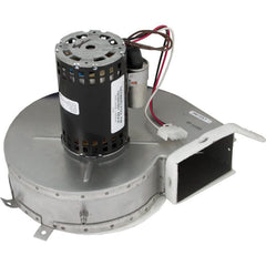 HAYWARD Hayward IDXLBWR1930 Combustion Blower for H-Series NOx Heater 240V