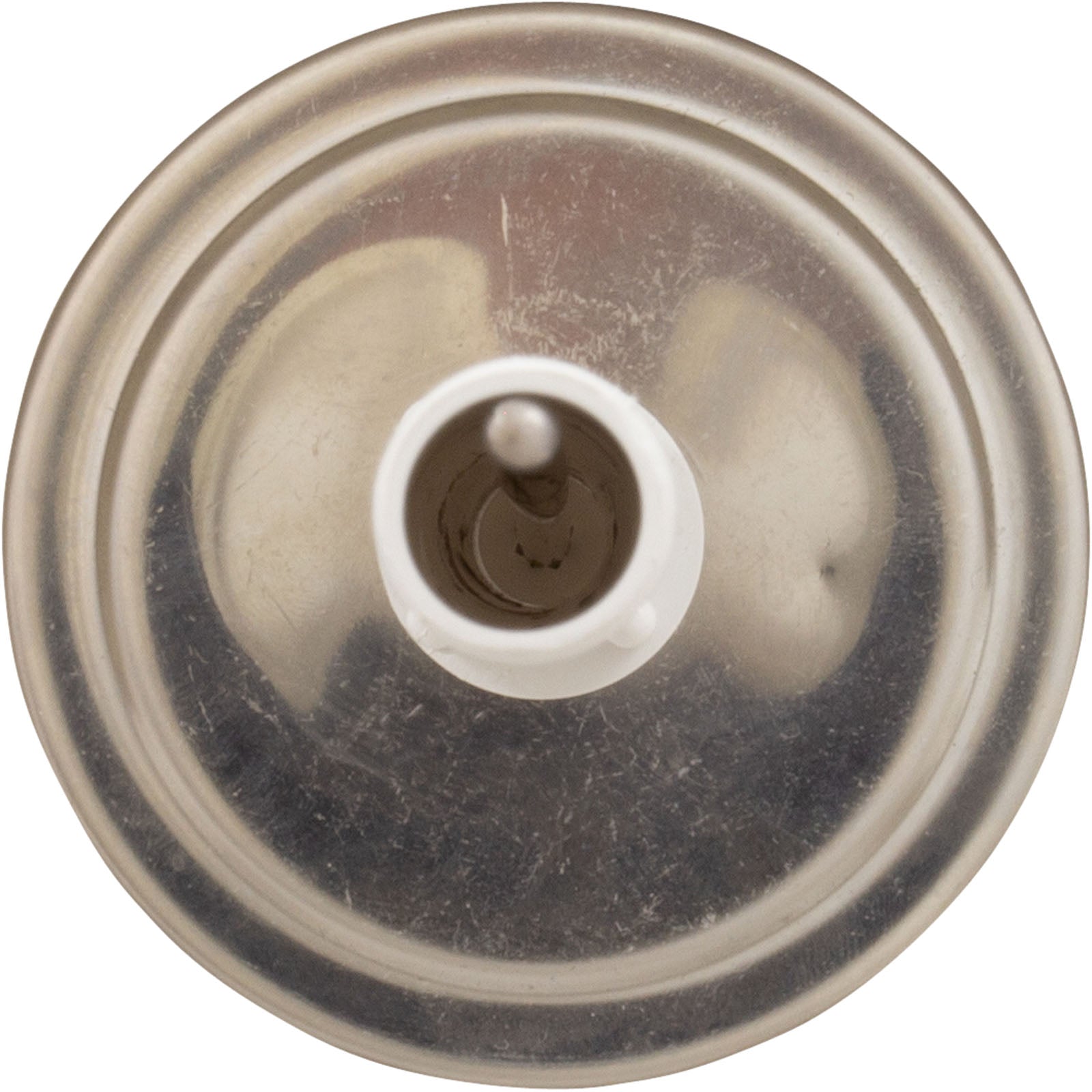 PENTAIR Pentair SKR Thermometer with Tube and Bushing Replacement Pool and Spa Skimmer Lid