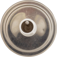 Pentair SKR Thermometer with Tube and Bushing Replacement Pool and Spa Skimmer Lid