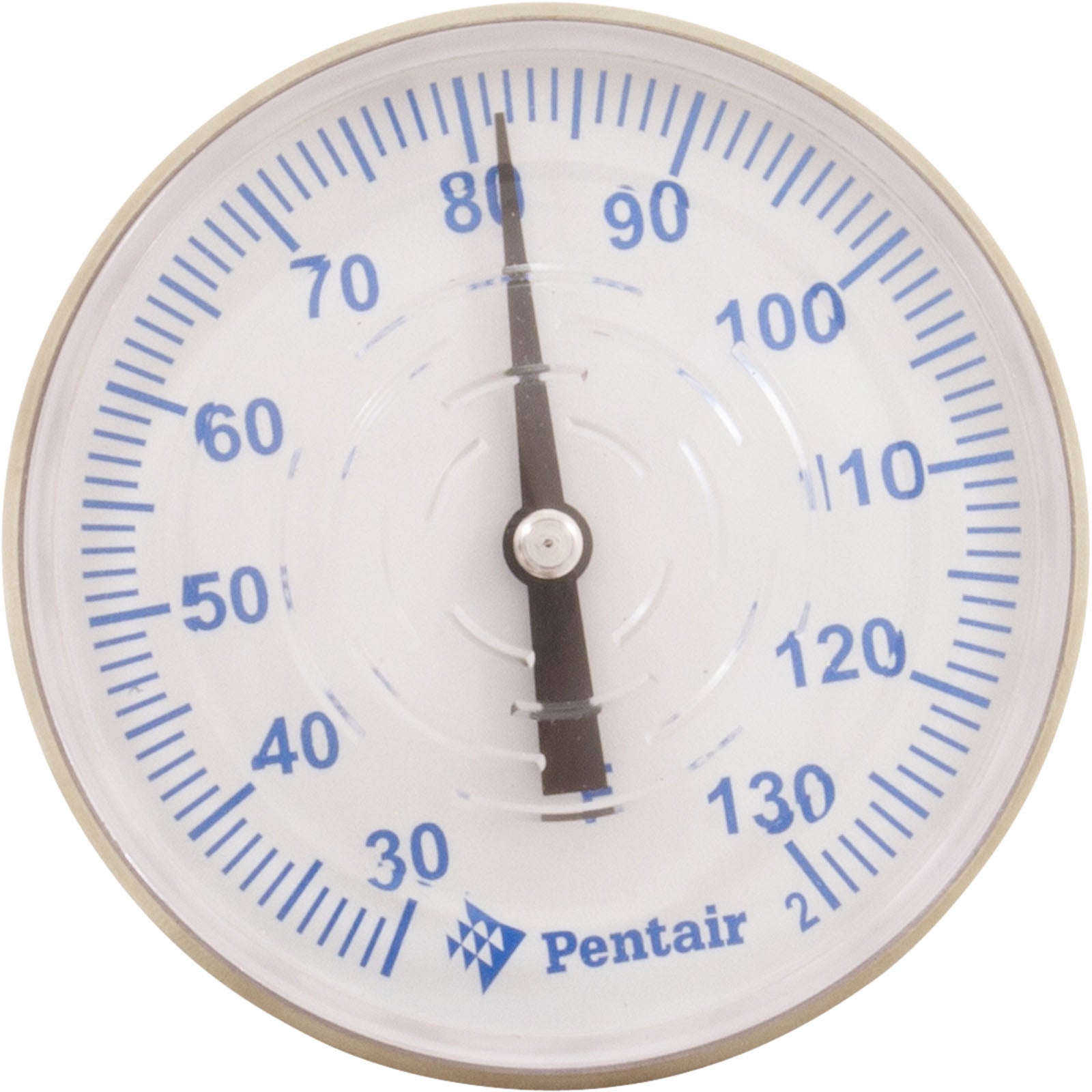 PENTAIR Pentair SKR Thermometer with Tube and Bushing Replacement Pool and Spa Skimmer Lid