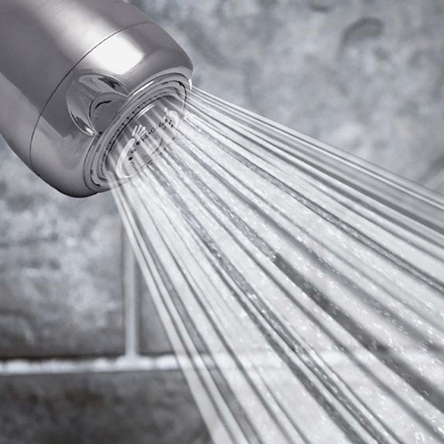NIAGARA Niagara N2920BN Earth Multi Function Showerhead in Brushed Nickel
