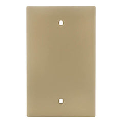 LEGRAND Pass & Seymour TP13I 1-Gang Blank Wall Plate, Box Mount, Nylon, Standard - Ivory