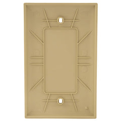 LEGRAND Pass & Seymour TP13I 1-Gang Blank Wall Plate, Box Mount, Nylon, Standard - Ivory