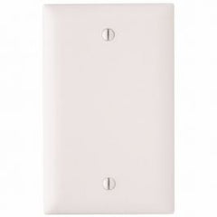 LEGRAND Pass & Seymour TP13W 1-Gang Blank Wall Plate, White