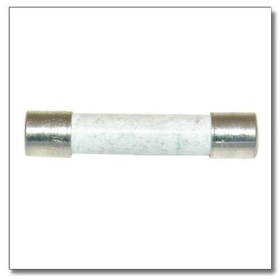 GOODMAN M0805106 FUSES