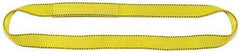 LIFTEX Liftex EN291X8PD Liftex Pro-Edge 8'L-1W 2 Ply Endless Poly Flat Web Sling