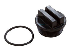 WATERWAY PLASTICS 400-6621 PILOT ASSEMBLIES