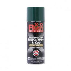 TRUE VALUE XOP11-AER SPRAY PAINTS & PRIMERS