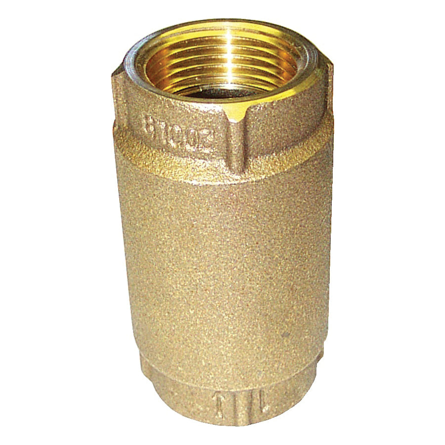 MERRILL MANUFACTURING Merrill CVNL100 1 BR Check Valve