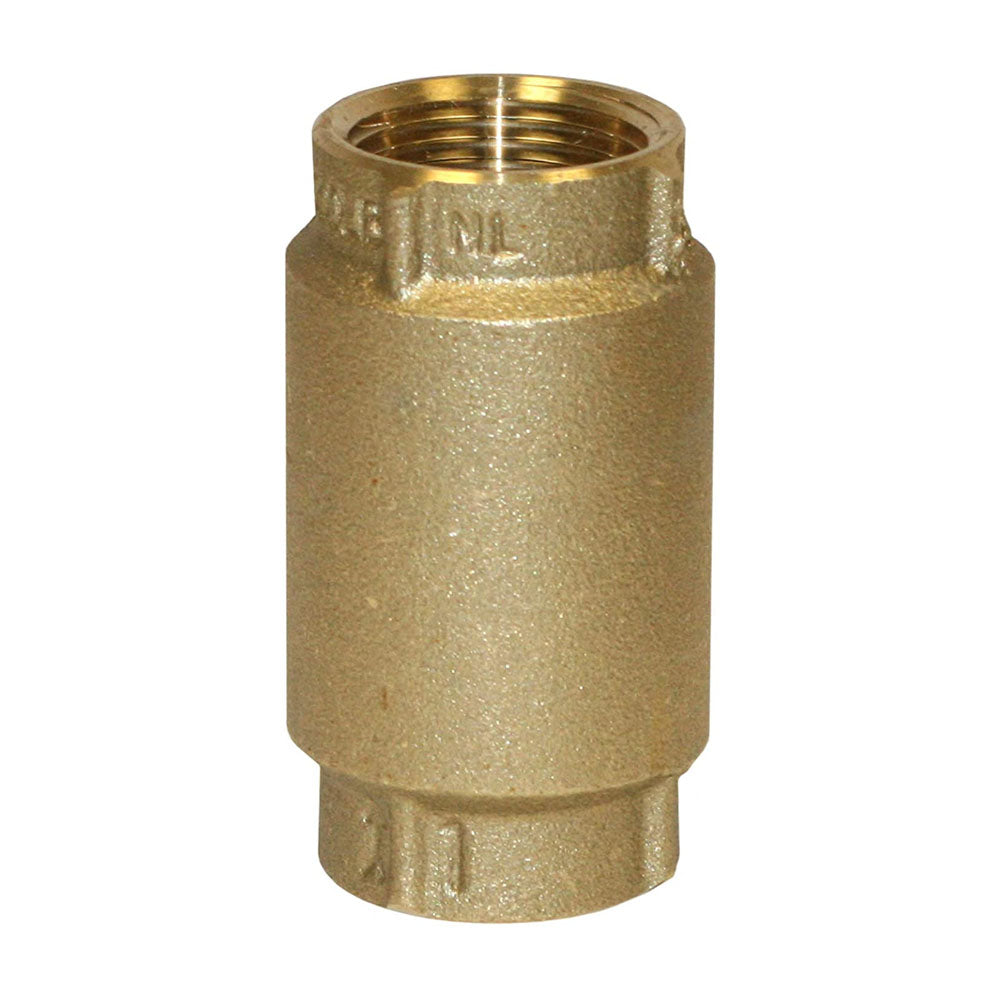 MERRILL MANUFACTURING Merrill CVNL100 1 BR Check Valve