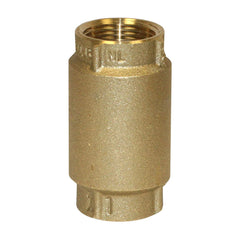 MERRILL MANUFACTURING Merrill CVNL100 1 BR Check Valve