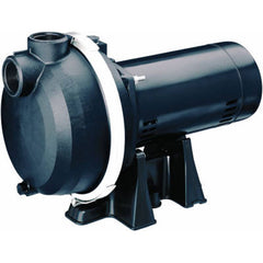 TRUE VALUE 123342 WATER PUMPS