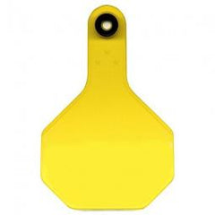 TRUE VALUE 7713000 MARKING & LABELING