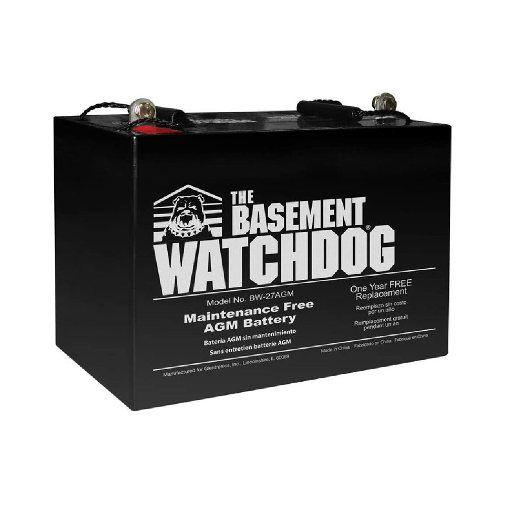 TRUE VALUE BW-27AGM BATTERIES