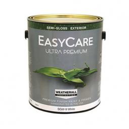 TRUE VALUE SGW9-GL PAINT SUPPLIES