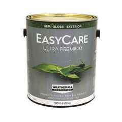 TRUE VALUE SGW9-GL PAINT SUPPLIES