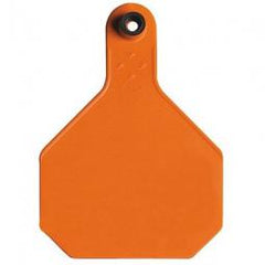TRUE VALUE 7903000 PIPE FITTINGS