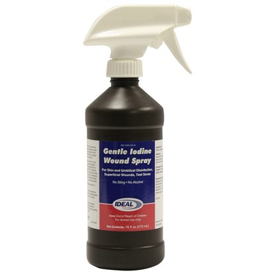 TRUE VALUE 79214 FIRST AID