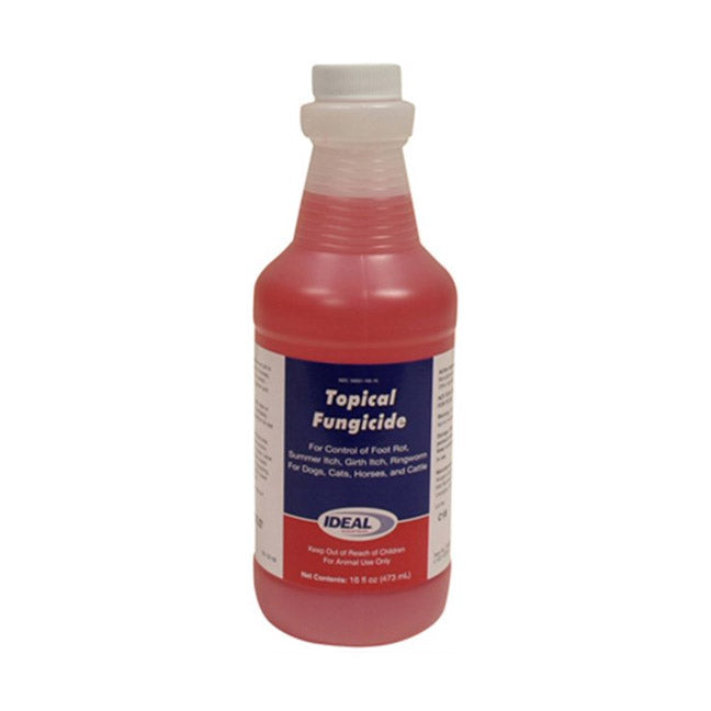 TRUE VALUE 79209 CHEMICALS
