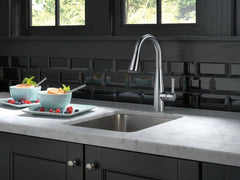 DELTA FAUCET Delta Faucet 9913-AR-DST Essa Single Handle Pull-Down Bar Faucet Arctic Stainless