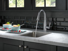 DELTA FAUCET Delta Faucet 9913-AR-DST Essa Single Handle Pull-Down Bar Faucet Arctic Stainless