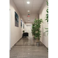 Lithonia Lighting EDGR-1-R-EL-M4 Recessed Mount LED Edge-Lit Exit Sign, Single Face, Red Lettering on Clear Acrylic, 120-277V w/Ni-Cad Battery, Brushed Aluminum Housing