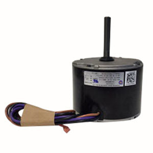 177381441.jpg