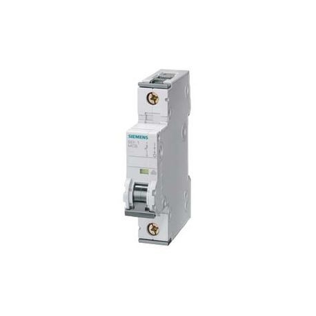 SIEMENS Siemens 5SY4102-7 2 Amp C Curve 1-Pole Supplementary Protector