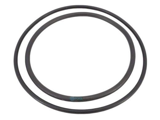 PENTAIR ZBR12200 O-RINGS & GASKETS