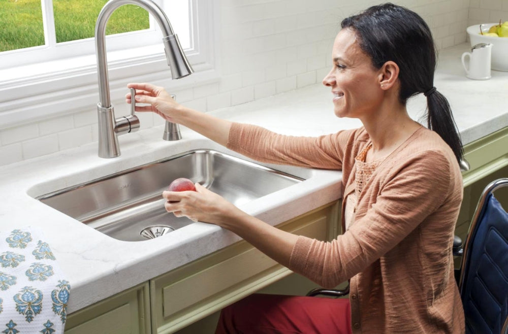 ELKAY Elkay ELUHAD211555 Lustertone Classic Stainless Steel 23-1/2 X 18-1/4 X 5-3/8 Single Bowl Undermount ADA Sink