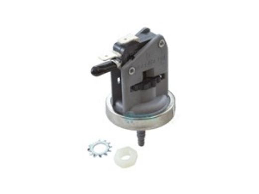 RAYPAK Raypak H000025 Water Pressure Switch Kit