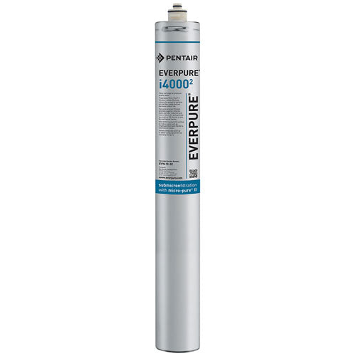 PENTAIR EV9612-31 CARTRIDGE WATER FILTERS