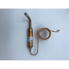 BLOMBERG 2982120500 GAS VALVES