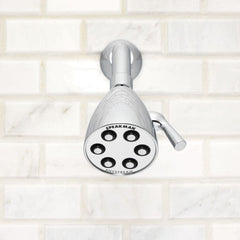 SPEAKMAN Speakman S-2252 Icon 3-Function Round Showerhead in Polished Chrome