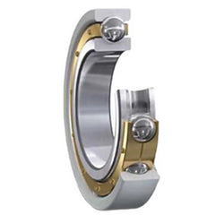 TRITAN 6224/C3 BEARINGS