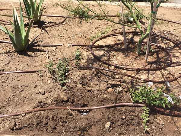 RAIN BIRD Rain Bird X21000 Model 1800RETRO Drip Irrigation Retrofit Kit for 1800 Series Spray Bodies