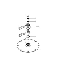 GROHE GROHE 27814001 Rainshower Cosmopolitan Single Function Showerhead in Starlight Chrome
