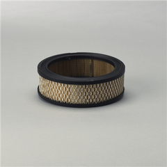 DONALDSON P528231 AIR FILTERS
