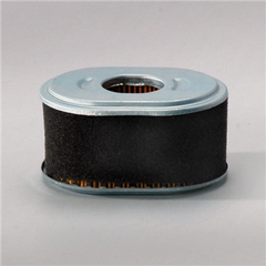 DONALDSON P786789 AIR FILTERS