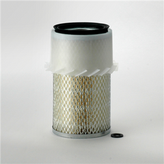 DONALDSON P136258 AIR FILTERS