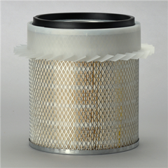 DONALDSON P182035 AIR FILTERS