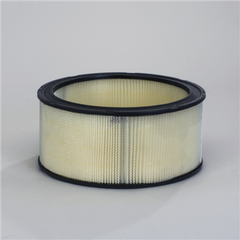 DONALDSON P524369 AIR FILTERS